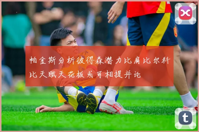 帕金斯分析彼得森潜力比肩比尔科比天赋天花板或可相提并论