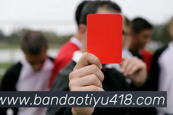 半岛体育APP 高清赛事图